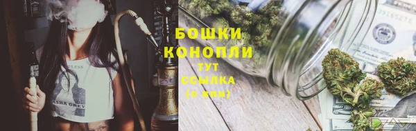 каннабис Беломорск