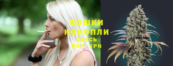 дмт Белокуриха