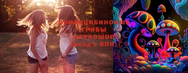 ешки Белоозёрский