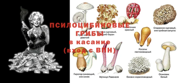 каннабис Беломорск